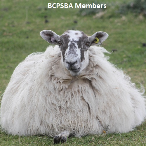 BCPSBA Members